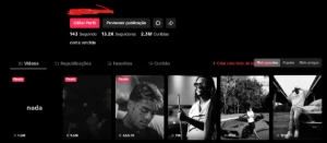 🚨 VENDO HOJE | Conta TikTok 13K +2M Curtidas | Engajada 🔥 - Redes Sociais