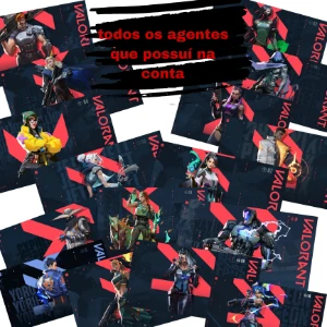 Conta da riot com muitas skins- Valorant Lol e Wr