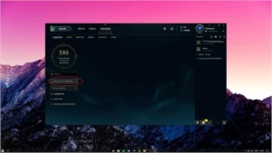 Unranked - Borda Platina II - Todos Campeões - 74 Skins - League of Legends LOL