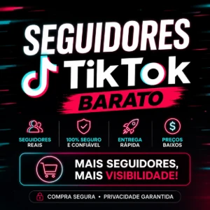 Seguidores no Tik Tok Barato - Redes Sociais