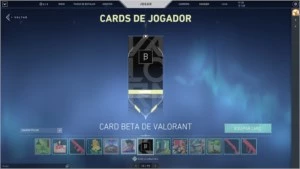 Conta Valorant Beta (1k gasto)
