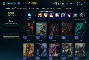 Platina 4 com TODOS os champs e 107 Skins ( MAIN SUP ) - League of Legends LOL