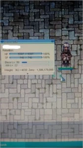 Venda de Zenys Iro Caos (100kk) por R$10,00 - Ragnarok Online