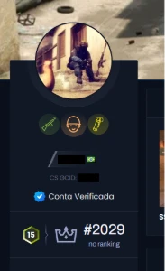 Conta Cs Com Prime Level 15 Gc +1.100 Horas Jogadas - Counter Strike