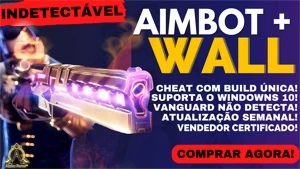 ✨ [PRIVADO] VALORANT - AIMBOT + WALLHACK ✨