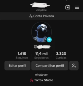 Conta com 11k no tik tok - Outros