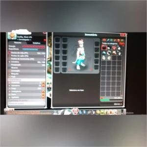 Conta Dofus ECA 176 YOP 144 Com set e 5 meses de p2pp Heliob
