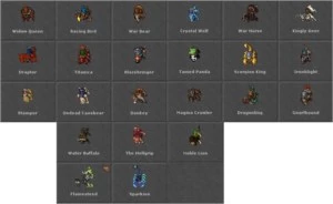 RP 417 - Tibia