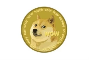 100 Dogecoins por 500 reais - Outros