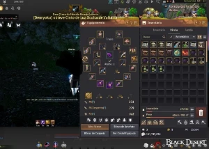 Conta black Desert