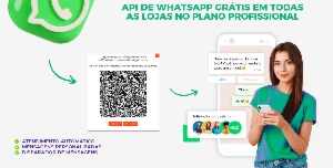 Crie Lojas Ilimitadas e Lucre com o Moove SaaS! - Outros