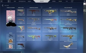CONTA VALORANT PRATA 2 COM SKINS