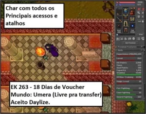 Vendo EK 263 - OPEN PVP UMERA - 18 voucher - Tibia