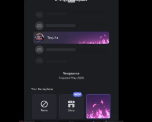 Conta Discord Nick 3 Caracteres Rara C/Decoraçoes