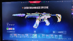 vendo conta de valorant com 22 skins