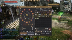 Conta 794Gs - Black Desert