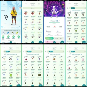 Pokémon GO – lvl 64 | 67 Shiny | Mewtwo  | 2M Stardust F015