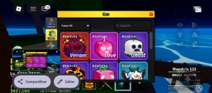Conta de roblox blox fruits.