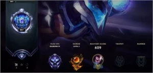 Conta League of Legends Platina 4, Todos Champs, 210 Skins LOL
