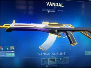 Conta valorant (1050 reais em skins!)