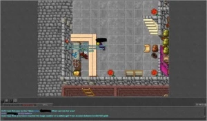 RP 245 COM RK FULL ACESSO LIVRE PARA TRANSFERIR - Tibia