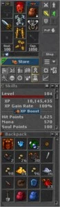 DRUID LV 520 + PALADIN LV 300 (MESMA ACC) - Tibia