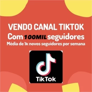 CANAL TIKTOK 100MIL FOLLOWS - Redes Sociais