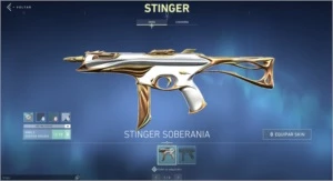 Conta Platina 1 com skins faca saqueadora - Valorant