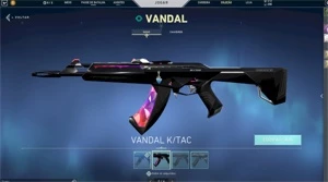 Conta Valorant - Ouro 2 - inúmeras skins lindas