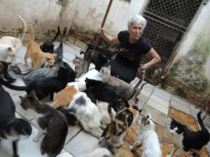 Apoio para meus amados animais de rua - Doações