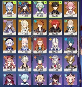 Genshin Impact Yae Miko + 10 t5