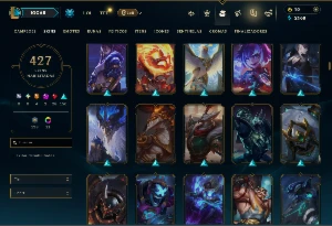 Ferro 2 com TODOS os Champs e 427 Skins ( ADC / MID / JG ) - League of Legends LOL