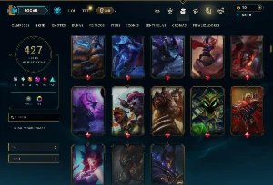 Ferro 2 com TODOS os Champs e 427 Skins ( ADC / MID / JG ) - League of Legends LOL