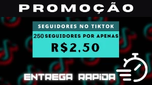 Seguidores No Tiktok- (Entrega Rápida + Atendimento 24Hr) - Redes Sociais