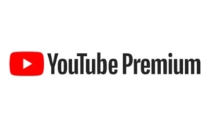 YOUTUBE PREMIUM + MUSIC PROMOÇÃO - 30 DIAS - Assinaturas e Premium