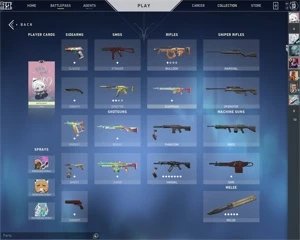 CONTA VALORANT COM VANDAL SAQUEADORA E SKIN DE FACA