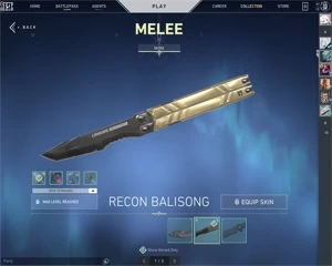 CONTA VALORANT COM VANDAL SAQUEADORA E SKIN DE FACA