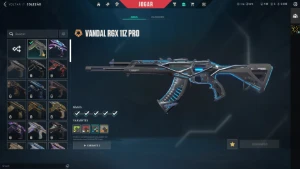 Conta Valorant RGX, Ion, Nocturnum