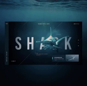 Branding, Designer e Landing Pages Profissionais