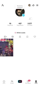 Conta Do Tiktok 454 Seguidores Real - Redes Sociais