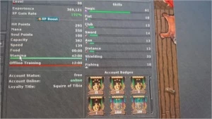 EK level 324 CELEBRA - Tibia