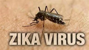 tudo sobre a zika - eBooks