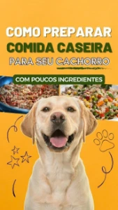 ⚠️ Alimentação Saudável Para Seu Pet ⚠️