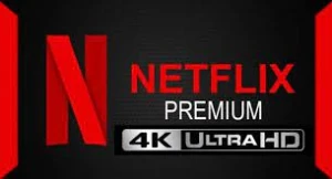 Netflix Padrão e Premium no seu e-mail (30 Dias) - Assinaturas e Premium