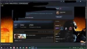 Conta Steam lvl 13 com 64 jogos(19 pagos e o resto é gratis)