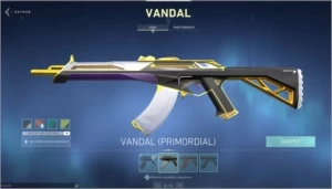 CONTA RADIANTE COM VARIAS SKINS - Valorant