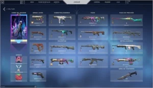 Conta valorant com muitas skins e VP // Negocio Valor