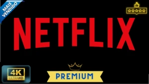 Netflix 30 Dias | Tela Privada - Assinaturas e Premium