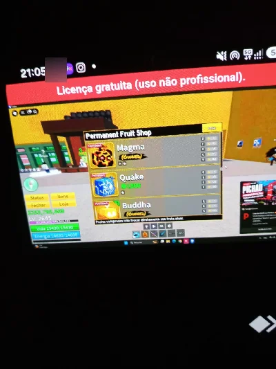 Conta level 2600 com frutas permanentes e algumas game pass - Roblox