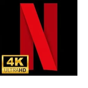 Tela Netflix privada - Assinaturas e Premium